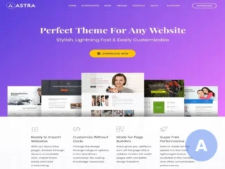 szablon astra wordpress — zdjęcie produktu