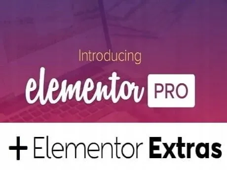 wtyczka elementor pro — zdjęcie produktu